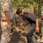 महिला वकील की हत्या कर चेहरा कुचला, आरोपी गिरफ्तार 34fvv4sj