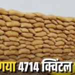 जांजगीर-चांपा में 4714 क्विंटल धान गायब, 1.46 करोड़ की गड़बड़ी उजागर, 7 लोगों पर FIR Untitled-1 copy