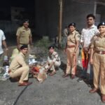 आवारा घुमंतू मवेशियों के गले में रेडियम पट्टी लगाया गया WhatsApp Image 2026-06-25 at 8.44.15 PM